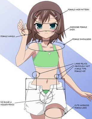 [190.5 MB] Ojousama WA OTOKO NO Musum? 