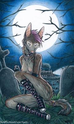 [79 MB] [Varios] (Toots) SiteRip / Colección de imágenes [UNCEN] [FURRY] [ENG, JPG, PNG]